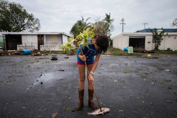 Toa Baja, PUERTO RICO  SEPTEMBER 21: A kid plays with a dead fish in a street of Levittown. Hurrican...