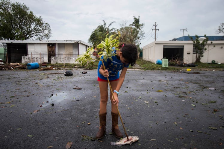 Toa Baja, PUERTO RICO  SEPTEMBER 21: A kid plays with a dead fish in a street of Levittown. Hurrican...