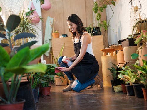 a woman cleans plants in a store. These are the most common traits of an aquarius-pisces cusp zodiac...