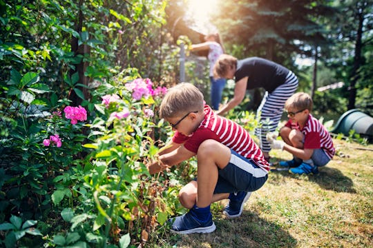pull some weeds in your garden