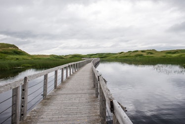 A floating boardwalk across Bowley Pond in Prince Edward Island National Park at Greenwich on a clou...