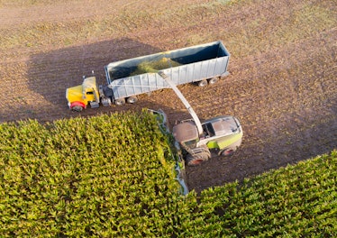 Semi truck and farm machines harvesting corn in Autumn, breathtaking aerial view.