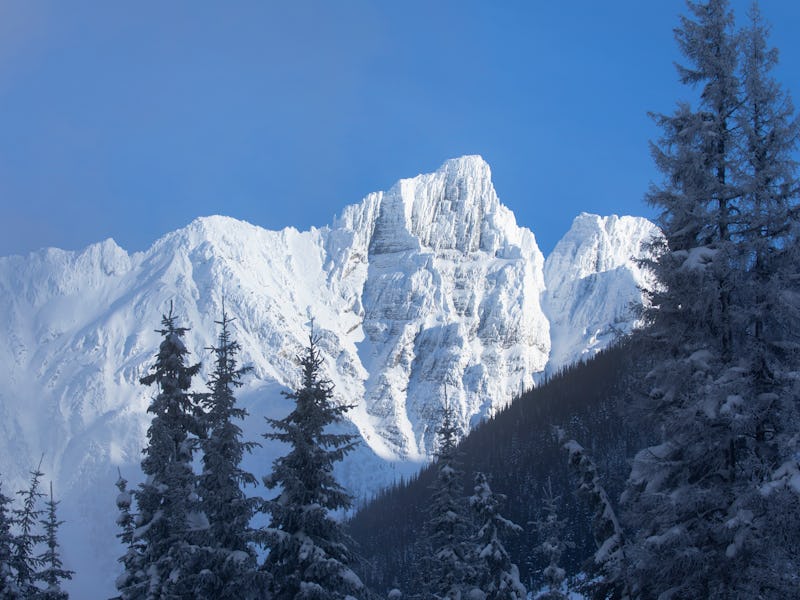 Canada British Columbia, Roger's pass jan/23/2022 theCamels peaks seen from Roger's pass station