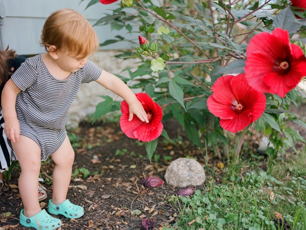 Poppy is a sweet spring baby name choice for girls.