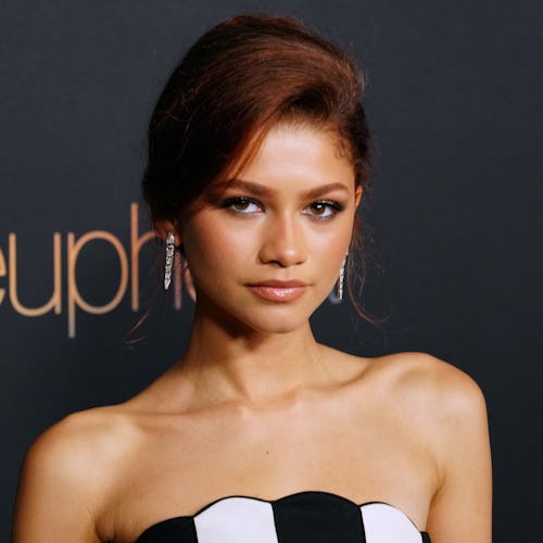 LOS ANGELES, CALIFORNIA - JANUARY 05: Zendaya attends HBO's "Euphoria" Season 2 Photo Call at Goya S...