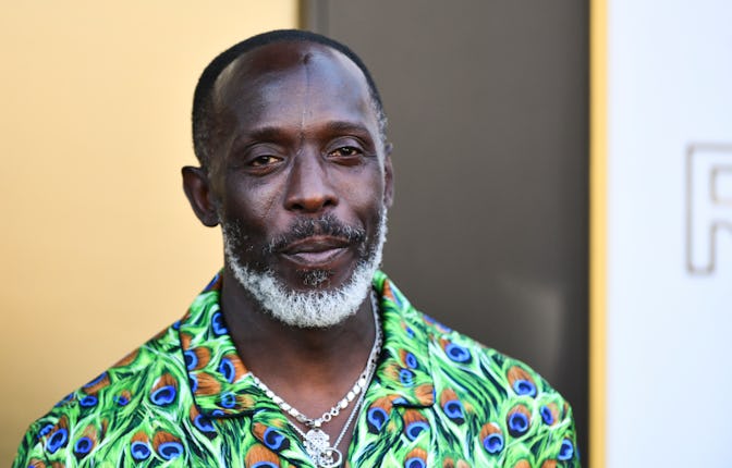 LOS ANGELES, CALIFORNIA - AUGUST 08: Michael K. Williams attends the Los Angeles premiere of MGM's "...
