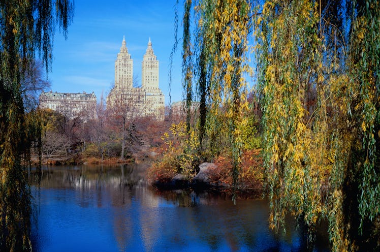 Created in 1858 by Frederick Law Olmsted and Calvert Vaux, Central Park was an attempt to create a 8...