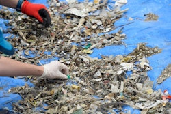 Volunteers sort micro-plastic waste collected on an island of the Etang de Berre during a clean-up o...