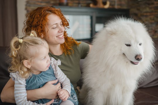 mother and baby girl blonde in home interior (dog)