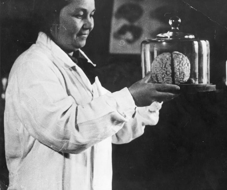 circa 1930:  The woman in charge of the Institute for Brain Research in Moscow holds a bell-jar cont...