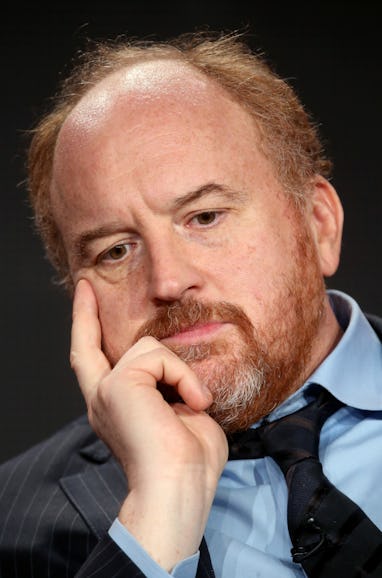 PASADENA, CA - JANUARY 18: Creator/writer/actor Louis C.K. speaks onstage during the 'Louie' panel ...