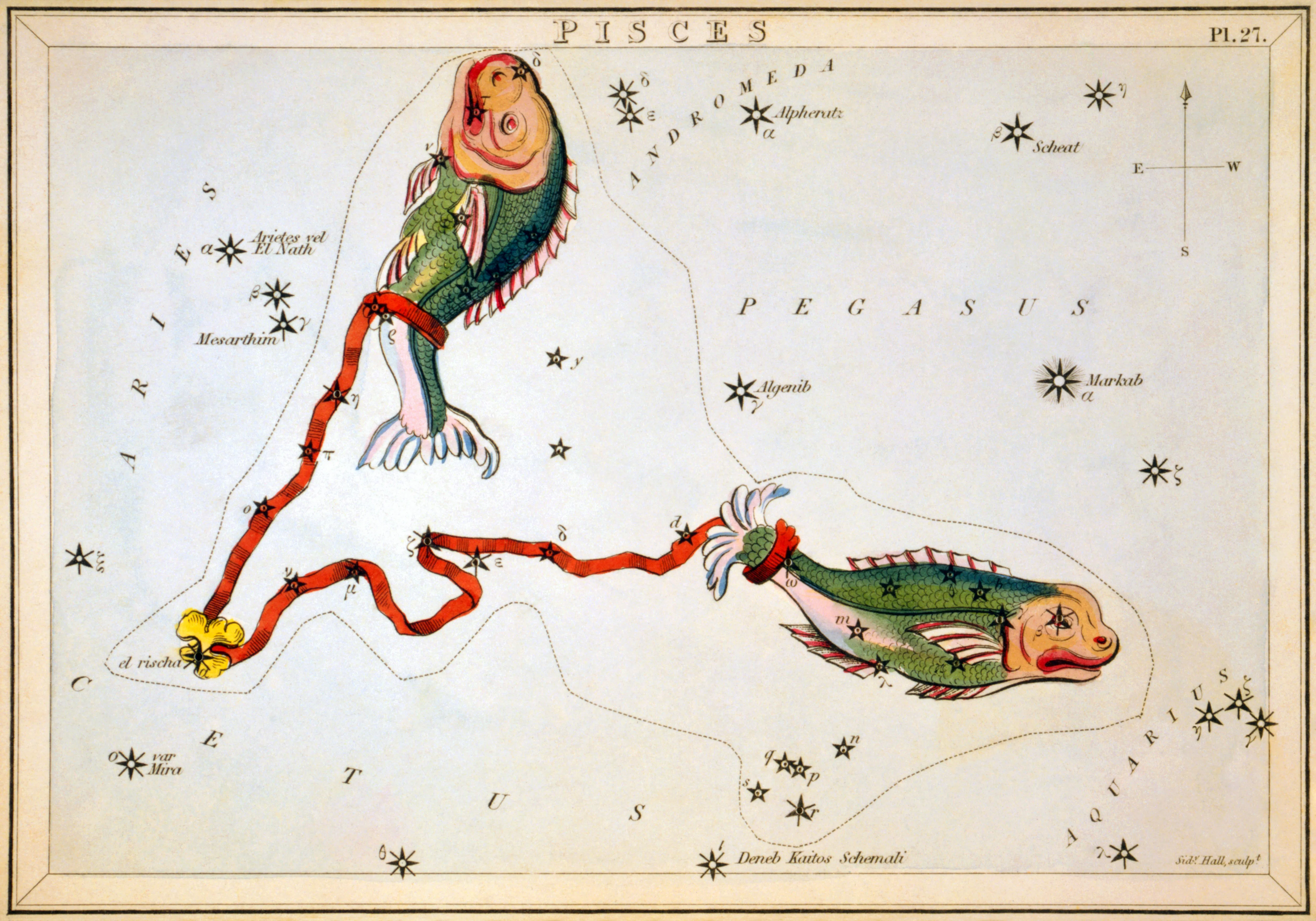 March 2022’s New Moon In Pisces Is Ripe For Manifestation