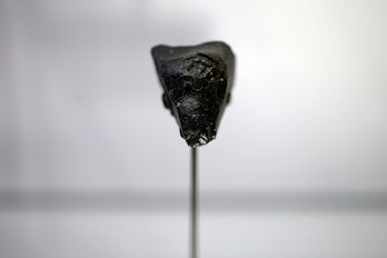 BETHEL, ME - NOVEMBER 22: A meteorite, dubbed "Black Beauty," is one of several meteorites that orig...