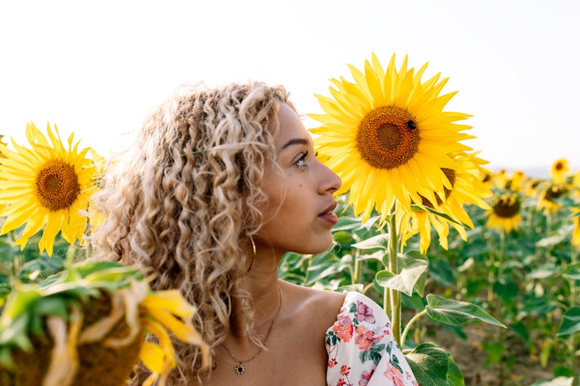 Front view of a blonde young woman with curly hair in a plaid spring dress among sunflowers looking ...