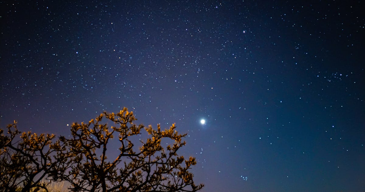 What Planet Rules Taurus? An Astrologer Explains Venus’ Influence