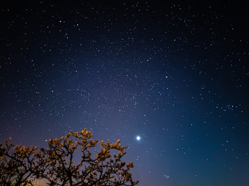 An image of the night sky with the planet Venus noticeably brighter than other stars. What planet ru...