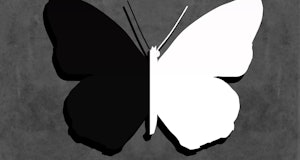 Black and white contrast butterfly vector
