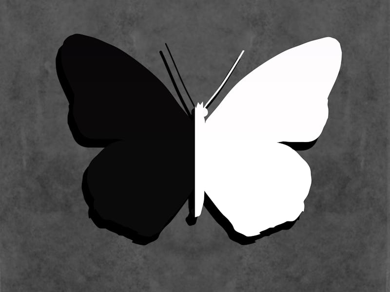 Black and white contrast butterfly vector