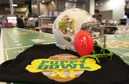 A helmet and T-shirt on a table ahead of Animal Planet's Puppy Bowl.
