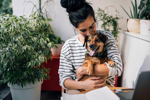 A portrait of a happy young businesswoman working from home with her dog. Here's your daily horoscop...