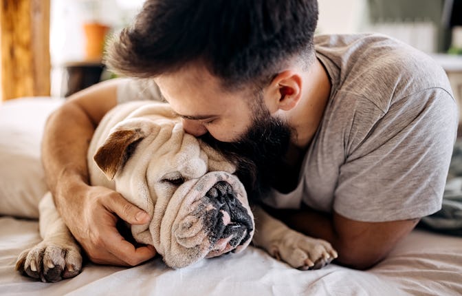 Man and dog in bed in the morning