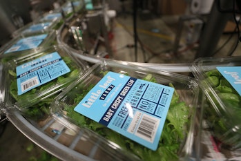 DEVENS, MA - JANUARY 18: Packaged lettuce is pictured at Little Leaf Farms in Devens, MA on Jan. 18,...
