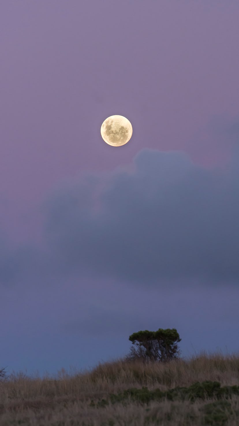 Moon rising over a field. The March 2022 full Worm moon will move into ultra organized Virgo.