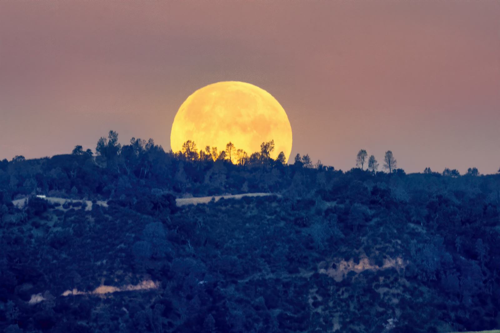 The Spiritual Meaning Of March’s Full Worm Moon In Virgo, Explained