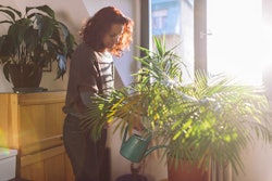 A woman waters plants at home. The March 2022 full moon in virgo will affect these three zodiac sign...