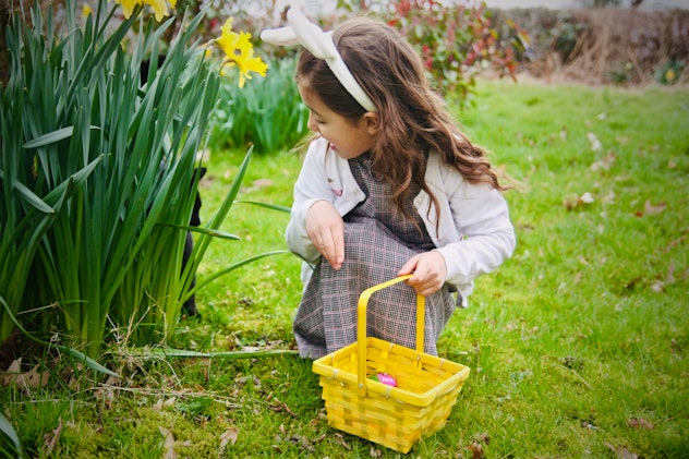 Young girl picking chocolate eggs up, surprised to see a black cat next to her, who was hiding in th...
