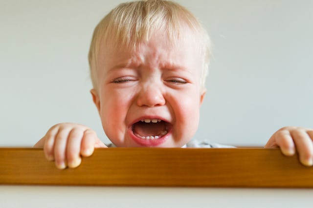 USA, New York, Nanuet