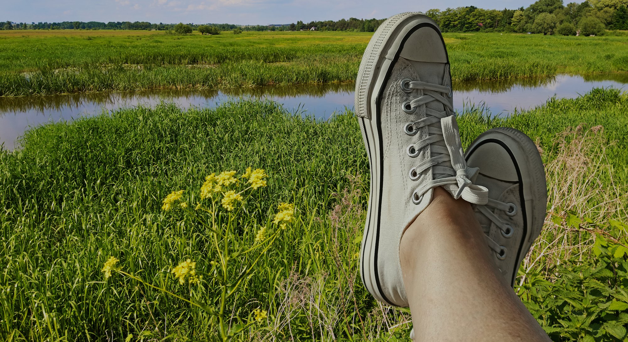 Close-up of female legs in white sneakers on the background of nature.