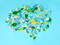 Flowers petals and leaves forming brain shape on blue background.