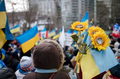 Sunflowers at a protest against the Russian invasion of Ukraine in Montreal. 