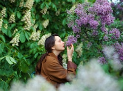 A woman smells blooming lillies. The Pisces Stellium 2022 means march and april will be lucky for al...