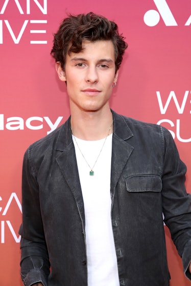 Shawn Mendes' Instagram video about his Camila Cabello breakup is so real.