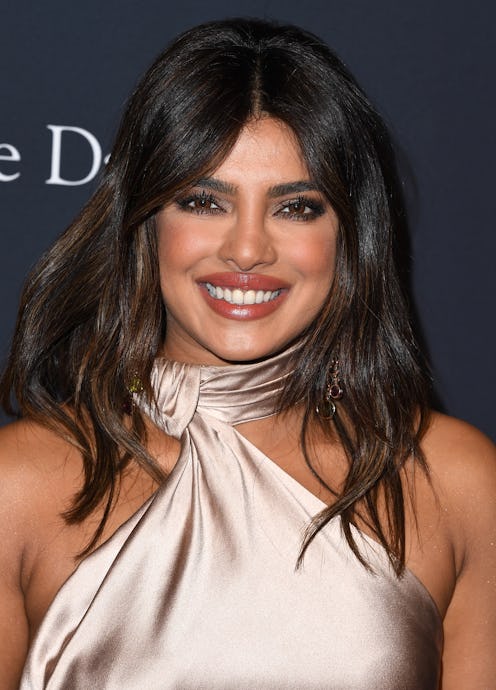 Priyanka Chopra Jonas will star in the movie adaptation of 'Secret Daughter.'(Photo by Steve Granitz...