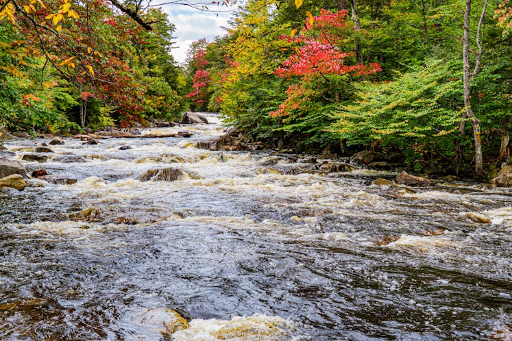 In this view, we see the East Canada creek running high after rain in the early Fall with some leave...