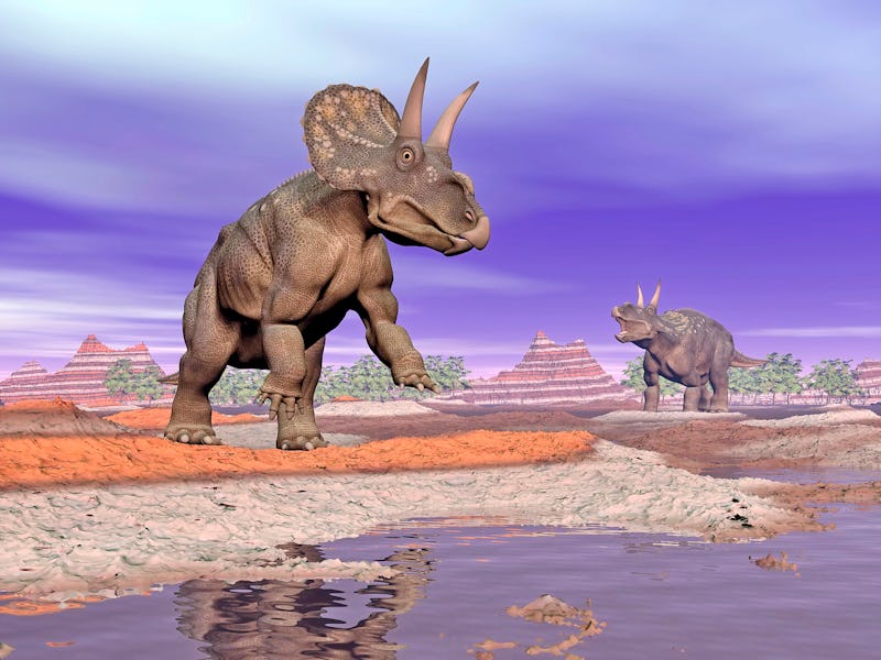 Two Nedoceratop dinosaurs next to water