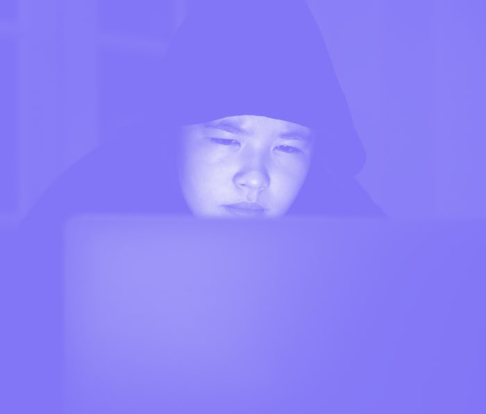 Student hacker, online bullying