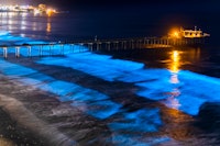 The top bioluminescent destinations in the world ranked include glowing beaches. 
