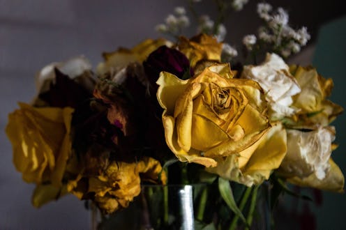 wilting flowers