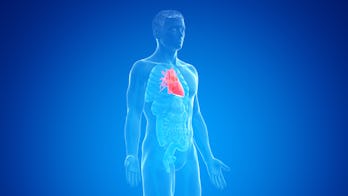Human heart, illustration.