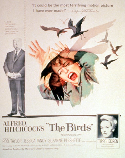 The Birds, poster, Alfred Hitchcock, Tippi Hedren, 1963. (Photo by LMPC via Getty Images)