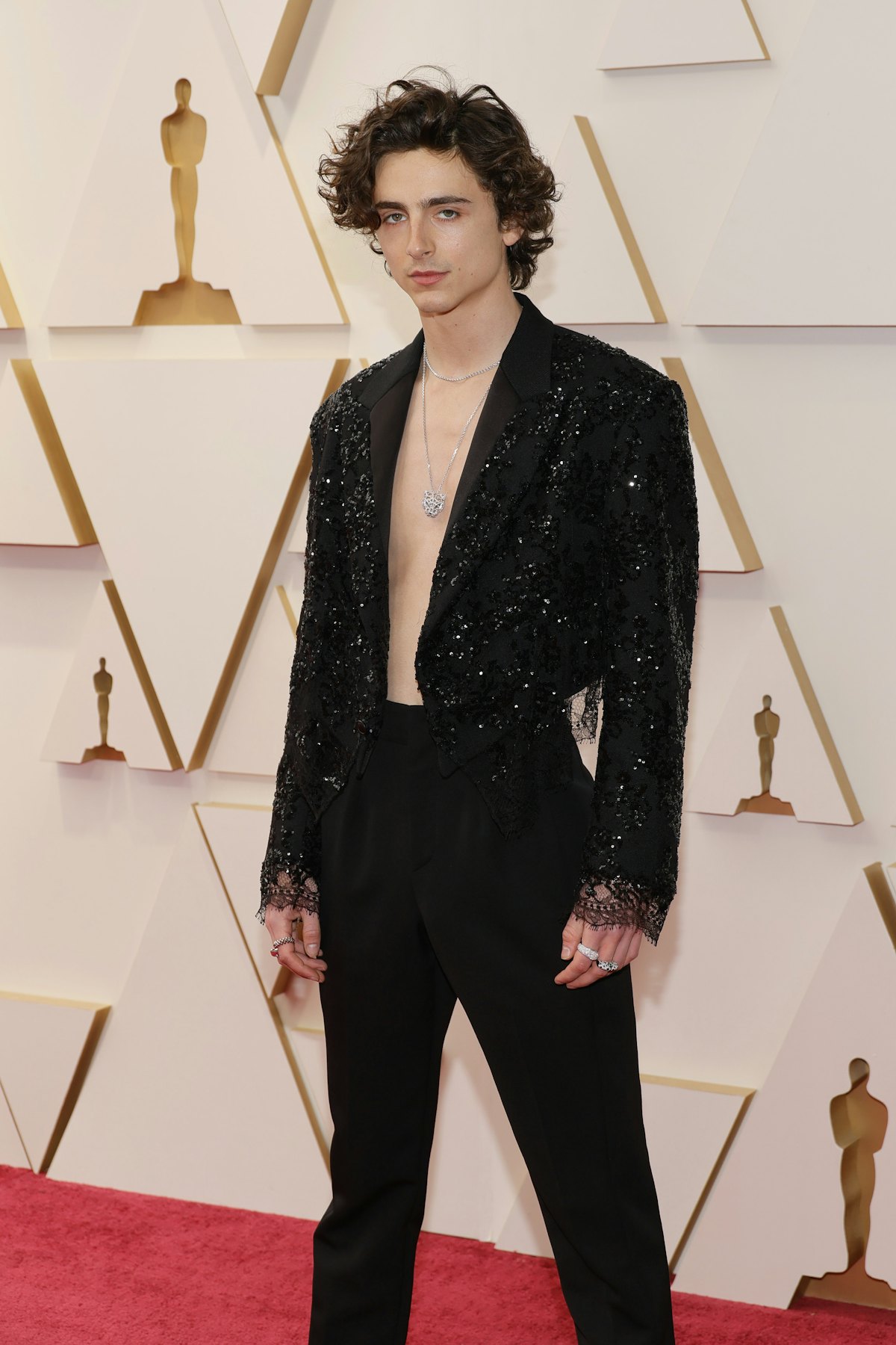 Timothée Chalamet at the Oscars 2022 red carpet wearing sequins.