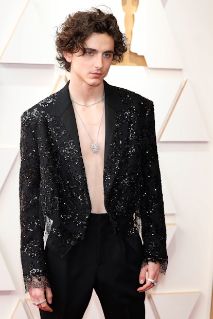 LOS ANGELES, USA - MARCH 27, 2022: Timothee Chalamet arrives on the red carpet outside the Dolby The...
