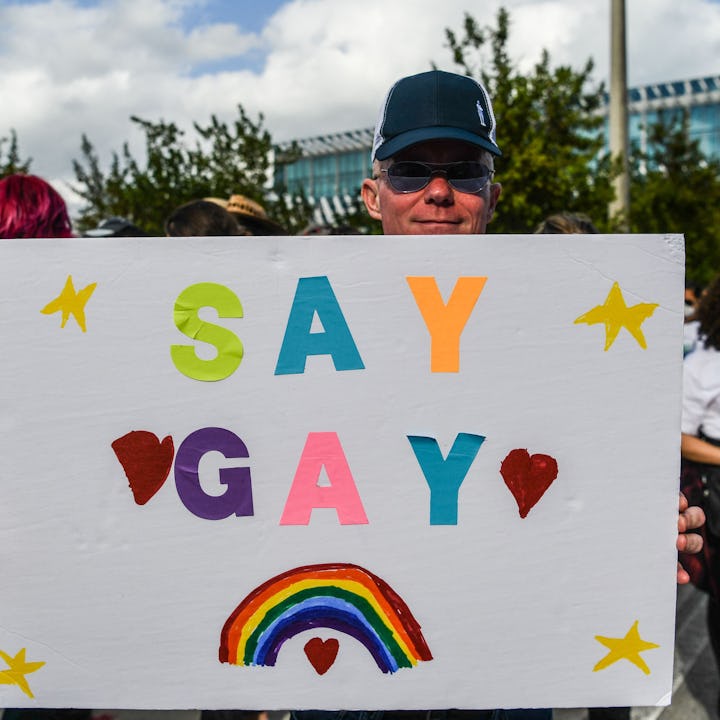 Members and supporters of LGBTQ community protesting the "Don't Say Gay," bill, which Florida Govern...