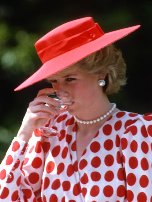 Princess Diana Had A Very Relatable Reason For Disliking Champagne & Cocktails