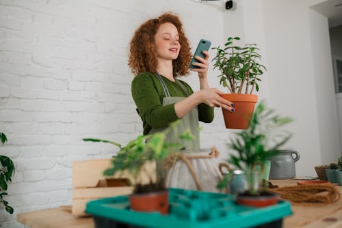 A woman takes an instagram story of her plant. Here's how to delete highlights on Instagram