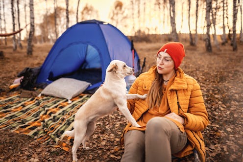 A woman camps with her dog in the woods. These three zodiac signs will be least affected by the Arie...